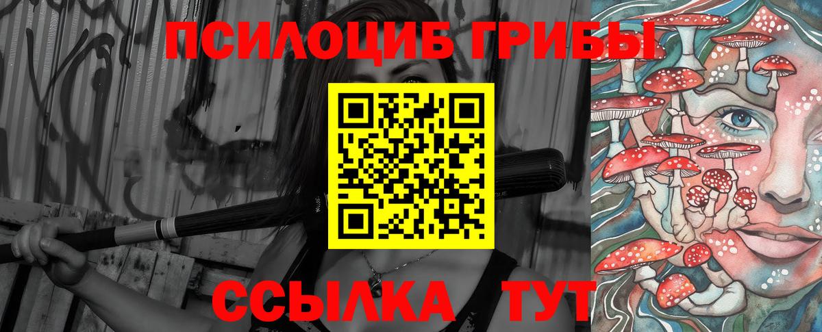 Ишим  Псилоцибиновые грибы GOLDEN TEACHER  Вход с VPN  Псилоцибиновые грибы ЛСД 