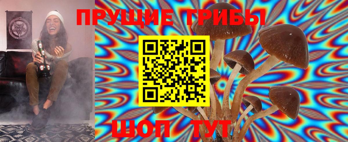 Псилоцибиновые грибы Cubensis Ишим