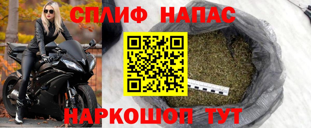 Каннабис OG Kush Ишим